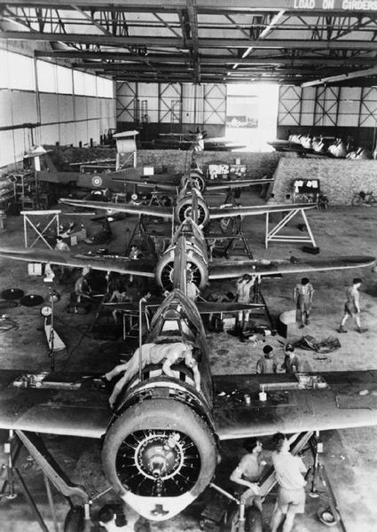 Soubor:67 Squadron Buffaloes.jpg