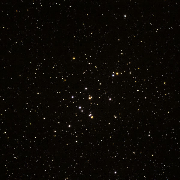 Soubor:M44 Beehive Cluster Flickr.jpg