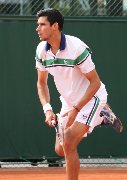 Soubor:Hanescu RG13 (15) (9424717503).jpg