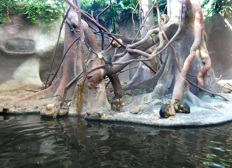 Soubor:Indonesian jungle2, Zoo Prague.jpg