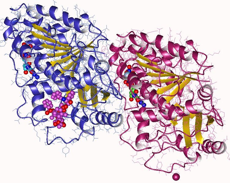 Soubor:Tubulin AB heterodimer-1jff.jpg