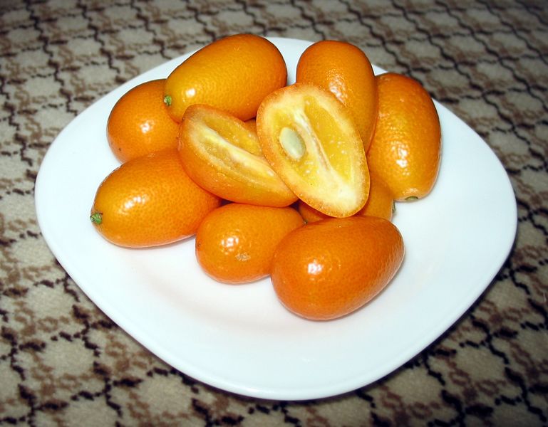 Soubor:Kumquat-Crosssection.jpeg