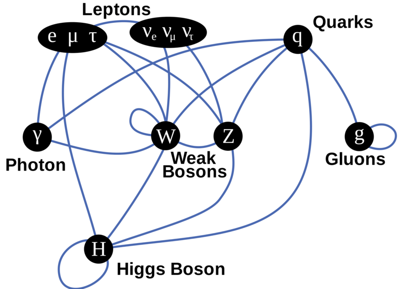 Soubor:Elementary particle interactions.png