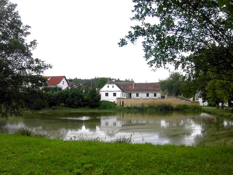 Soubor:Nebilovy rybnik.jpg